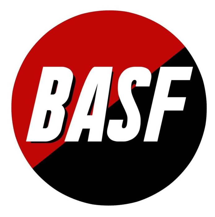 basf_logo.jpg